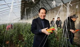 许家印回乡探望 许家印回乡探望